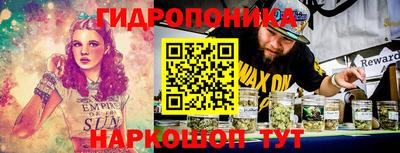прущие грибы Гусиноозёрск